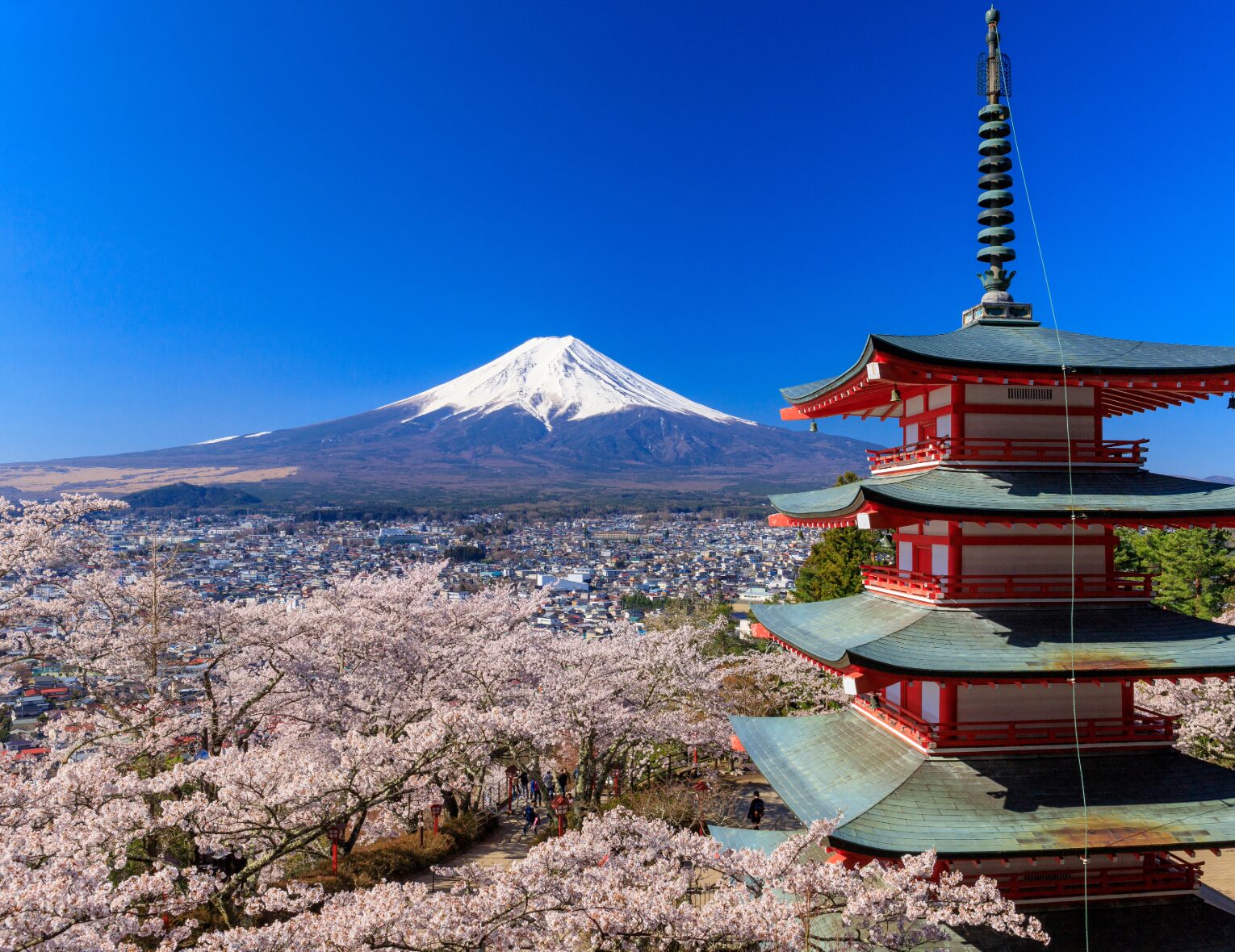 Mt. Fuji and Chureito Pagoda