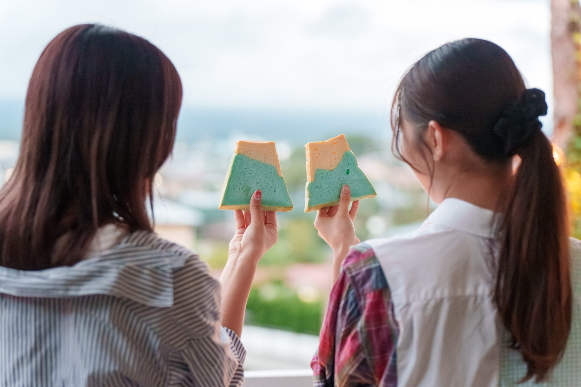 Mt. Fuji View & BBQ Bonfire Deck